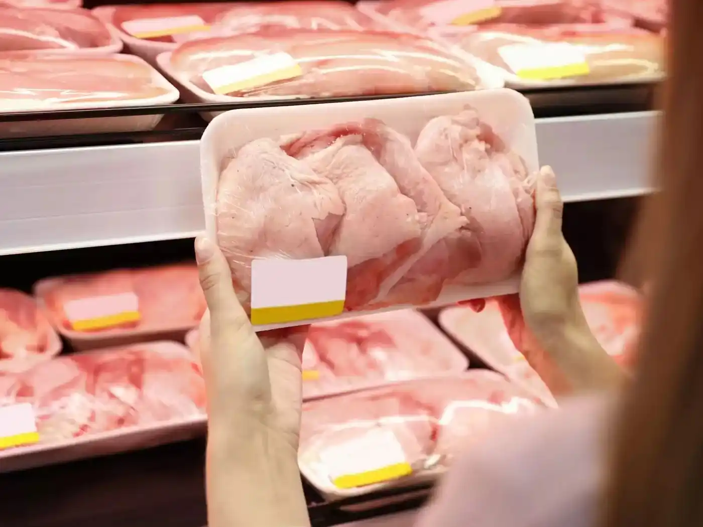 Provincia advierte impacto productivo y sanitario por los cambios en el control nacional de alimentos. Foto: Gentileza.