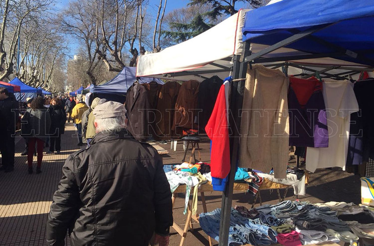 Se realizó un nuevo operativo en la feria de Plaza Rocha