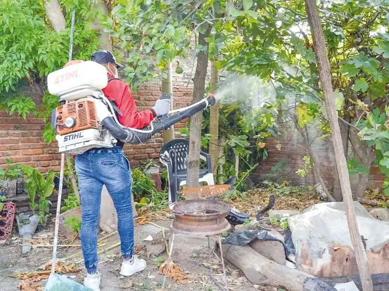 Dengue: se mantiene baja la cifra de contagios en la provincia