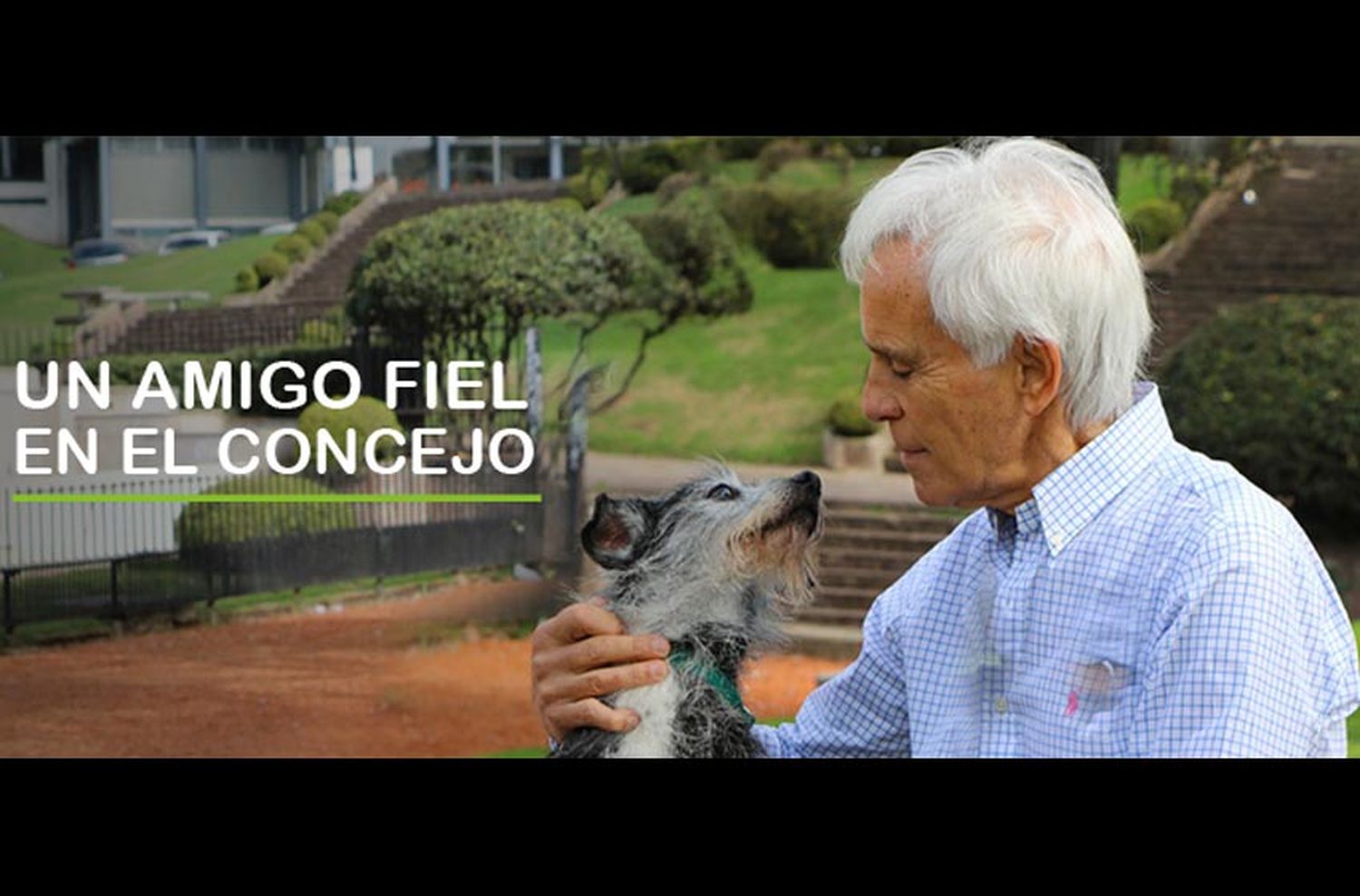 ¿A quién hay que votar? ¿A Cossia o al perro?
