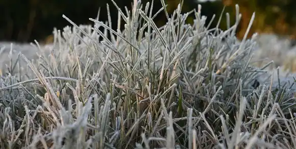 Alerta naranja por frío extremo en Santa Fe y más de diez provincias argentinas