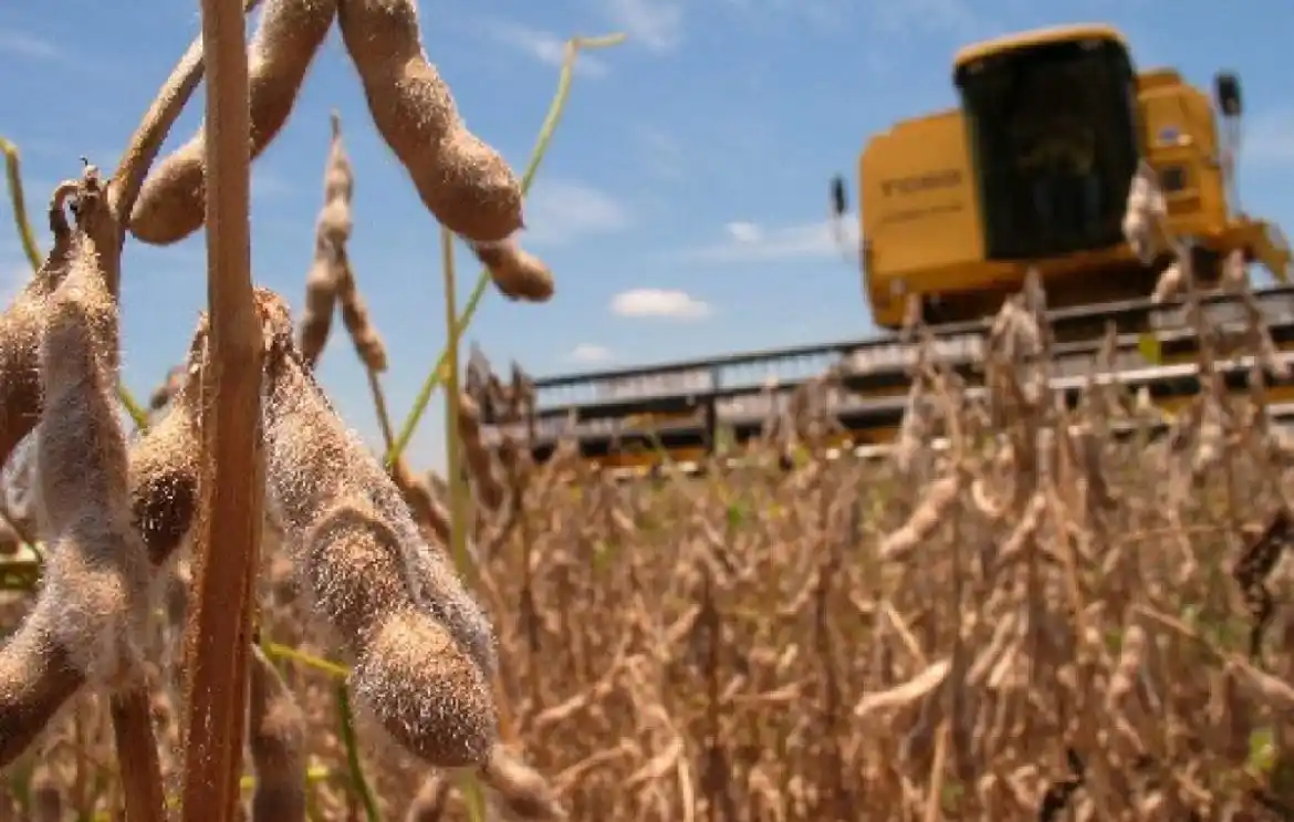 En Entre Ríos circularán unos U$S 250 millones menos por la caída de la producción de soja