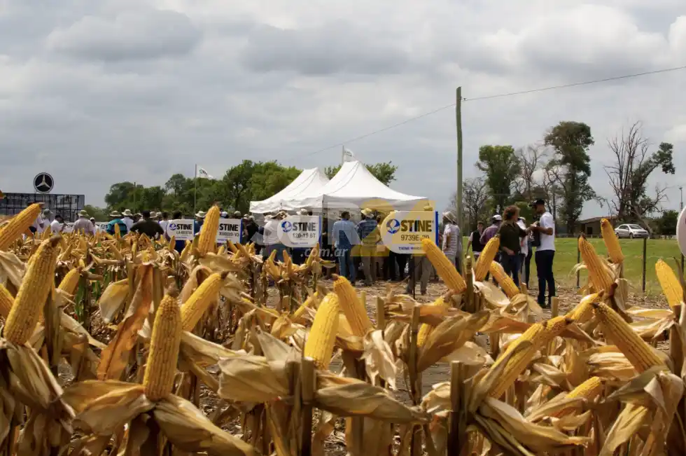 Chiarella desmintió presunto éxodo de Venado Tuerto del semillero Stine