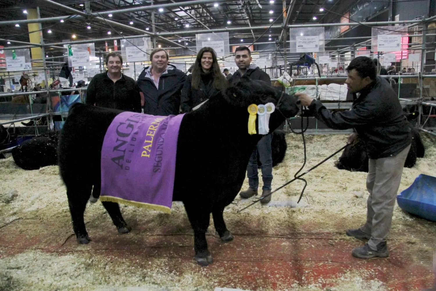 Arandú logró el segundo mejor ternero Angus de Palermo