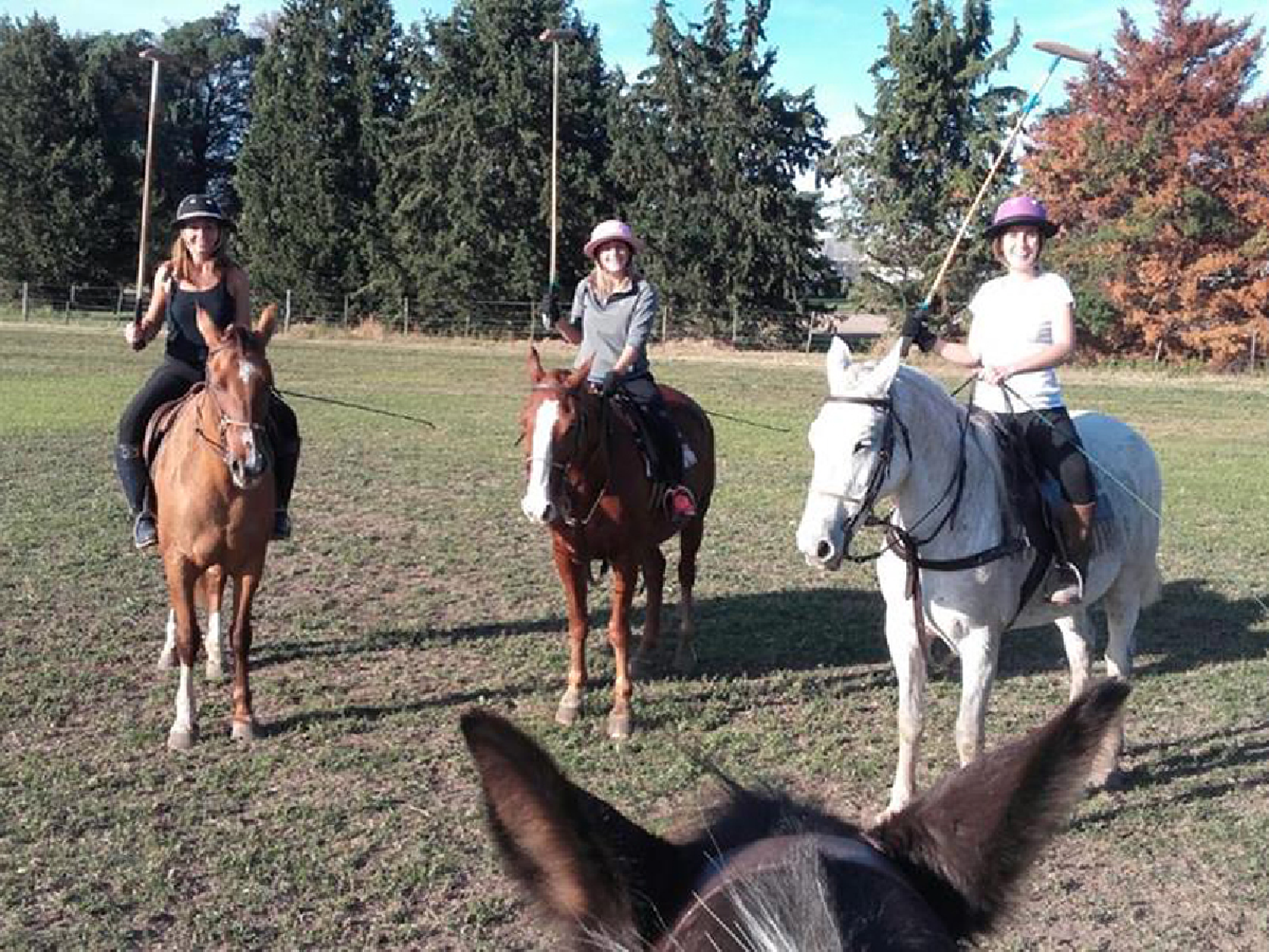 A taquear