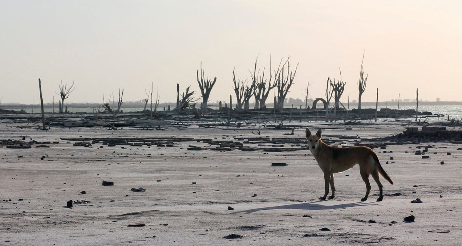 Cambio climático: el planeta aumentará 1,5º su temperatura en 2030