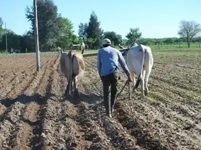 Formosa refuerza el control sobre tierras fiscales