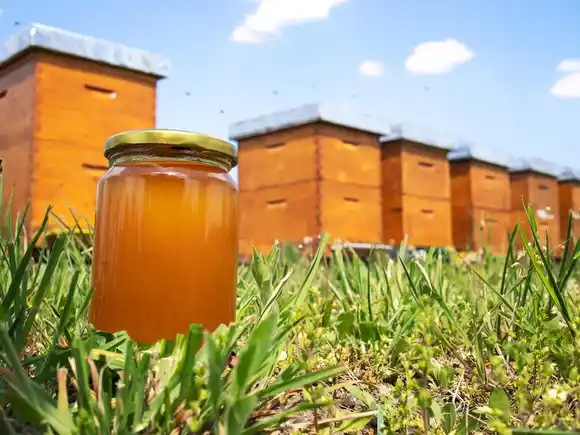 La trazabilidad logística impulsa el vuelo exportador de la miel argentina