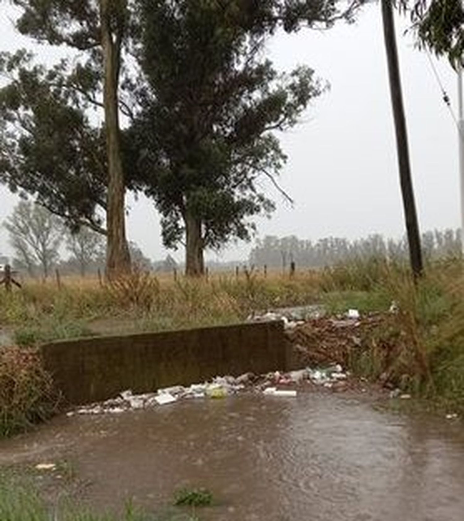 Tormenta