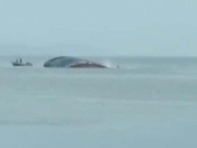 ¡QUERIDO CAPITÁN! Se hundió un barco en Cumaná