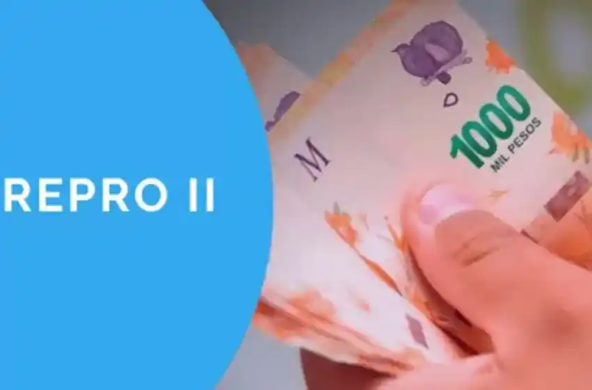 Récord de empresas inscriptas en el Repro II para recibir ayuda con salarios de mayo