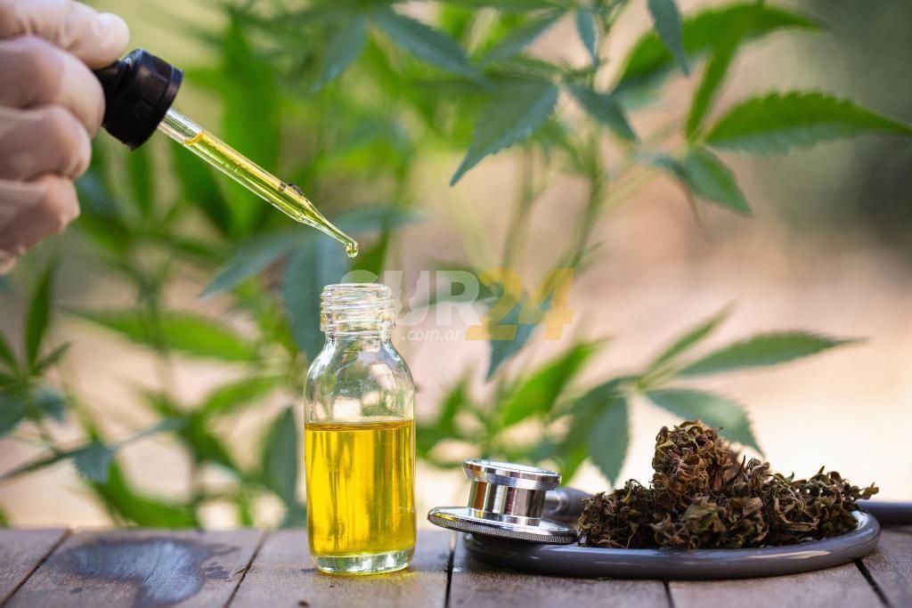 Se aprobó variedad de marihuana legal
