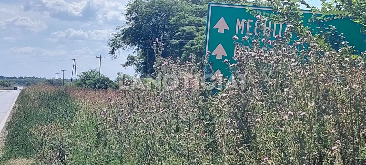 ruta 5