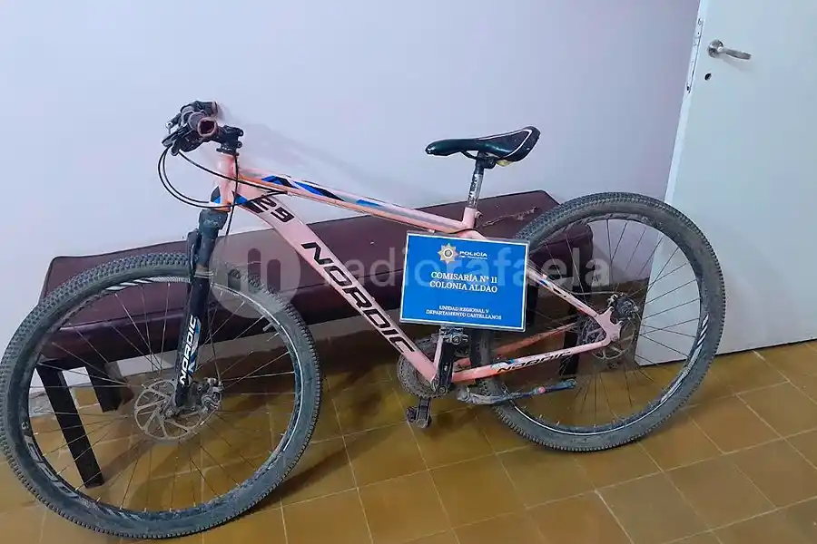 Dejó la bici frente a su casa y se la robaron: salió a buscarla y encontró al ladrón usándola