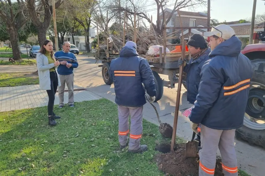 Rafaela suma  a sus calles con 2000 especies arbóreas