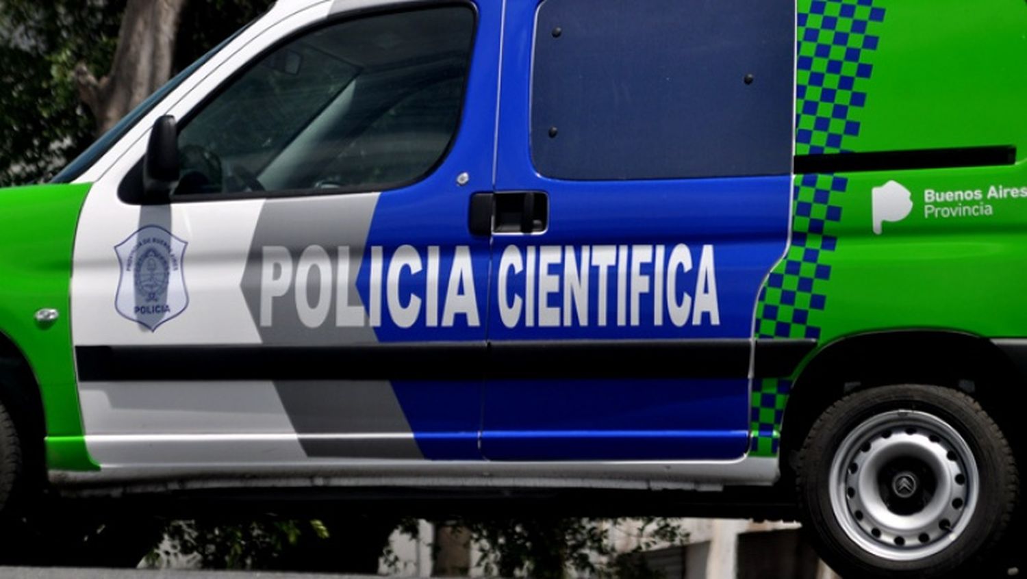 Brutal: Detuvieron a un sujeto por matar a su pareja con una maza