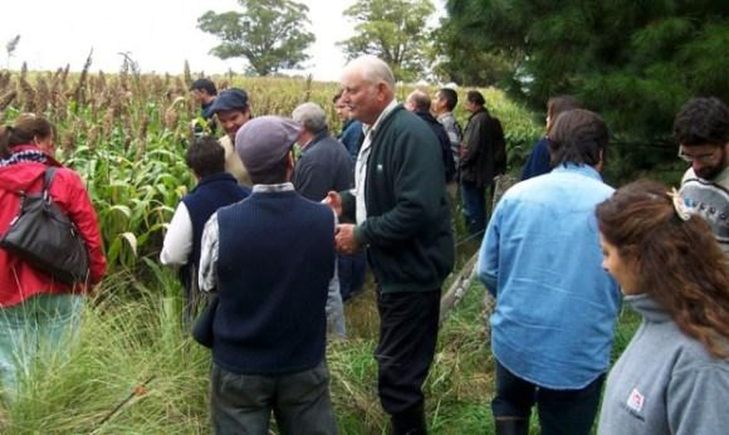 Reconocen mundialmente a un campo de Benito Juárez donde se produce sin agrotóxicos