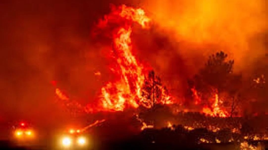 El incendio se inició en la zona de Canyon. (Foto: LA Times)