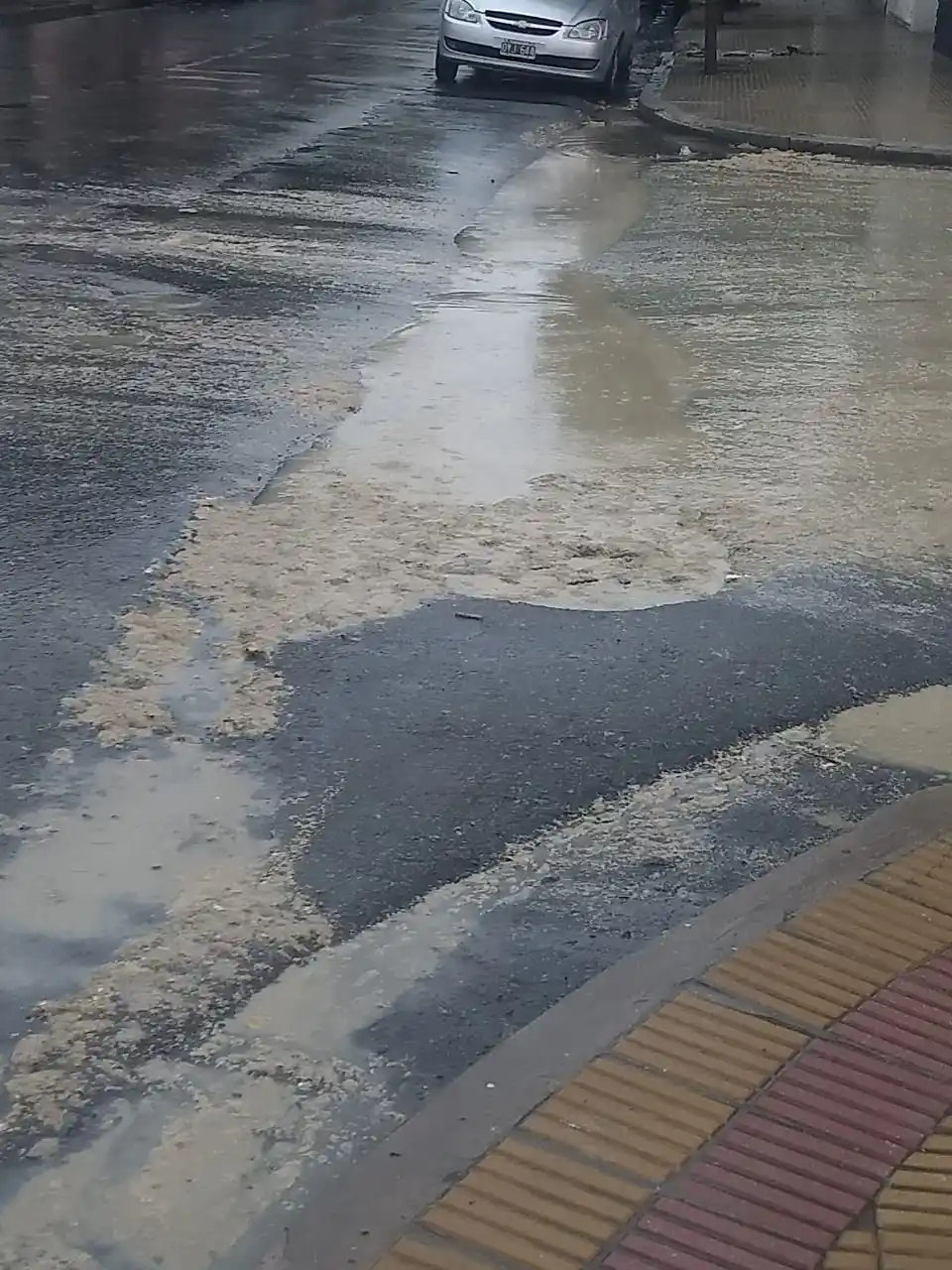 La esquina de Alsina y Pellegrinia amaneció inundada de materia fecal.