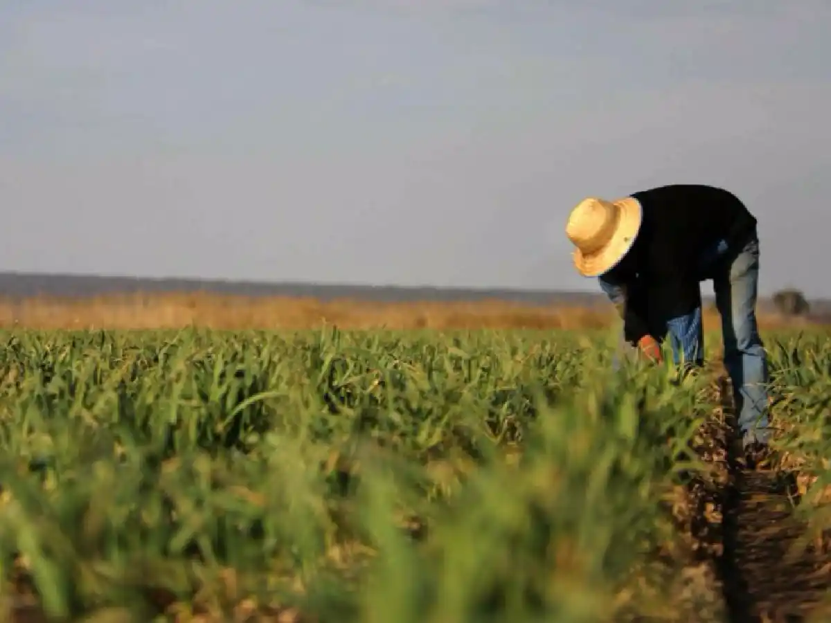 Rescataron en El Fuertecito a cuatro peones rurales que eran explotados laboralmente