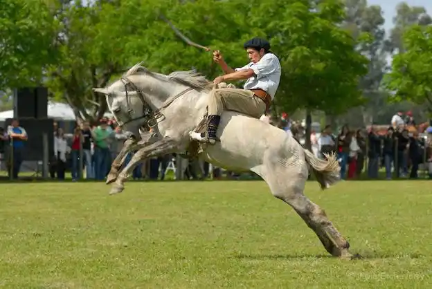 “83º Festival de jineteada de Sociedad Sportiva”
