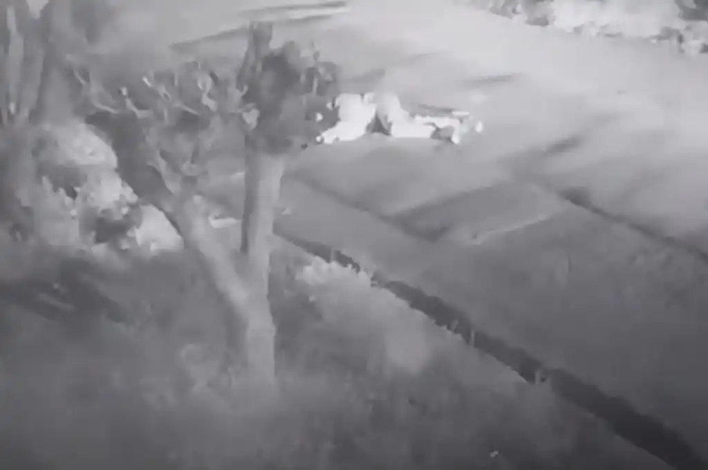 Delincuente muerto en intento de robo