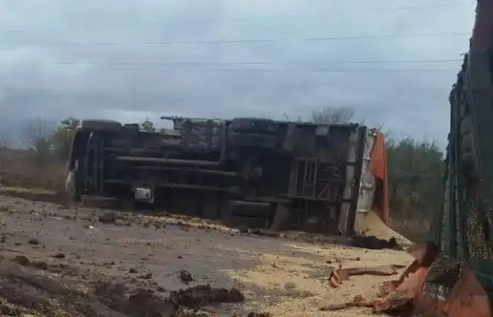 Un camión mordió la banquina, volcó y desató un accidente en cadena en la Ruta 12