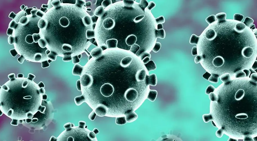 #Coronavirus Parte 25 de noviembre de 2021: 2.260 casos y 25 muertes informadas en las últimas 24 horas