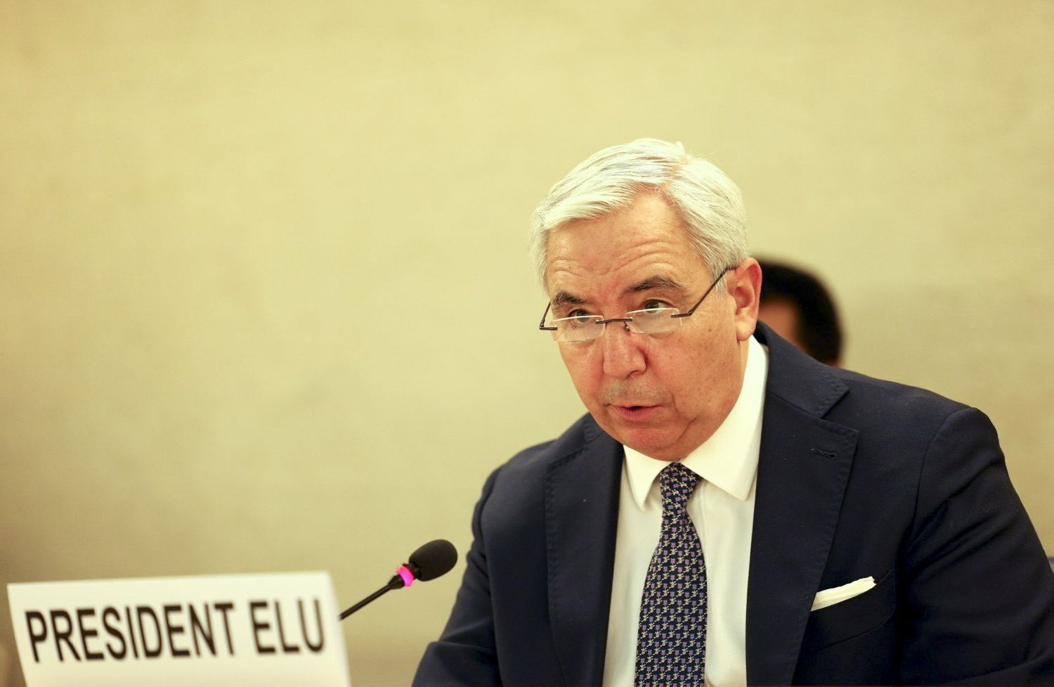 Argentina conducirá el Consejo de Derechos Humanos de la ONU