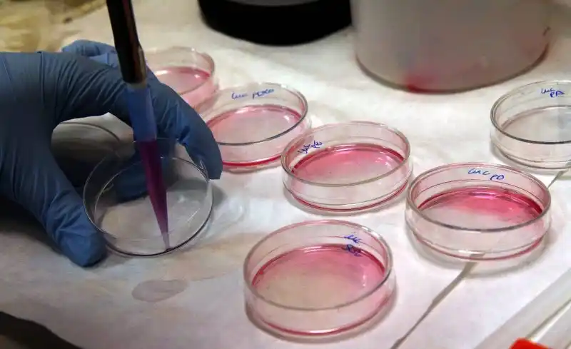 EEUU aprueba su primera terapia génica contra el cáncer