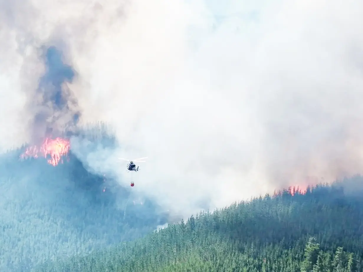 Incendios forestales: la salud respiratoria en alerta