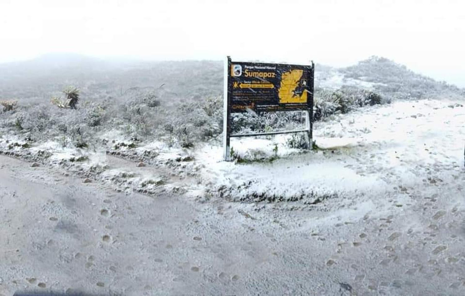 Nevó en Bogotá, por primera vez en 60 años (+ video)