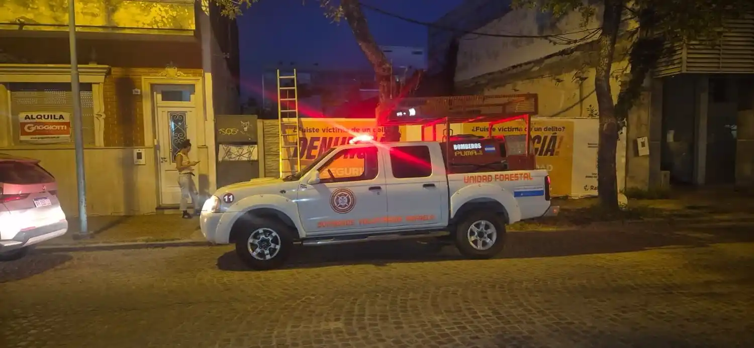 Bomberos voluntarios rescataron un gatito en un terreno baldío de Rafaela