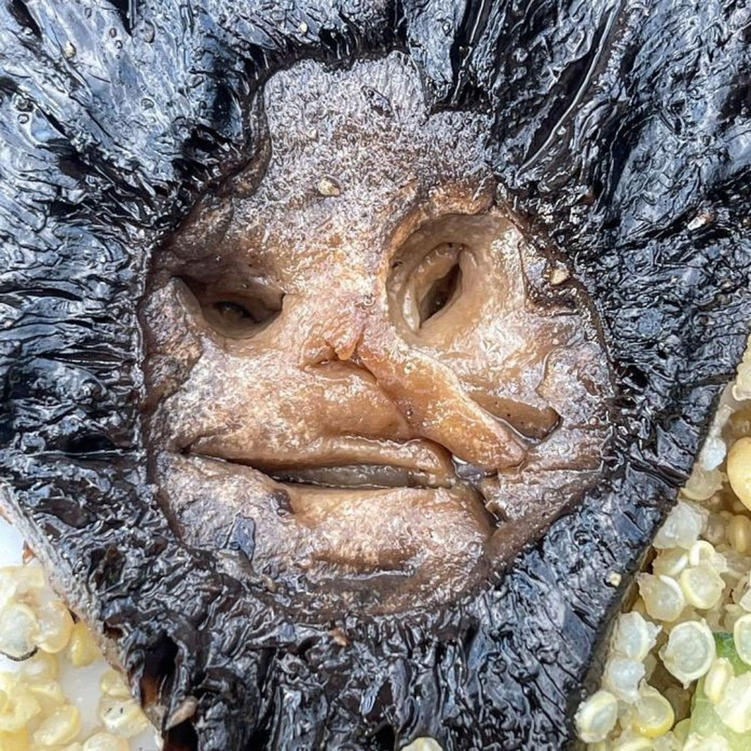 Arte en la comida