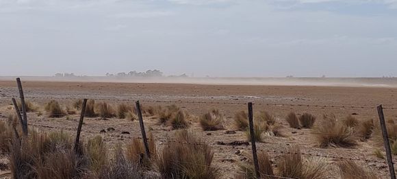 Sequía en Patagones: Esperan la visita del secretario de Agricultura de la Nación en medio de malos pronósticos