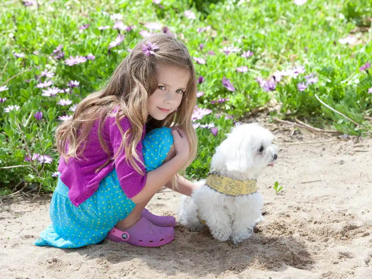 Cuál es el calzado ideal para proteger a los chicos de los alacranes 