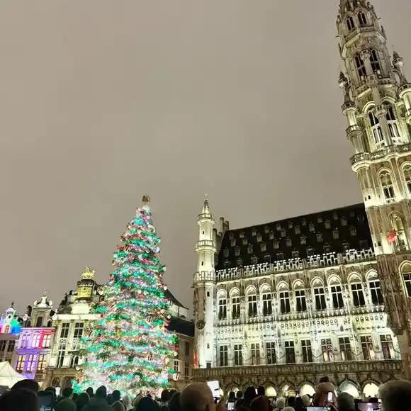 Más datos sobre el árbol de Navidad