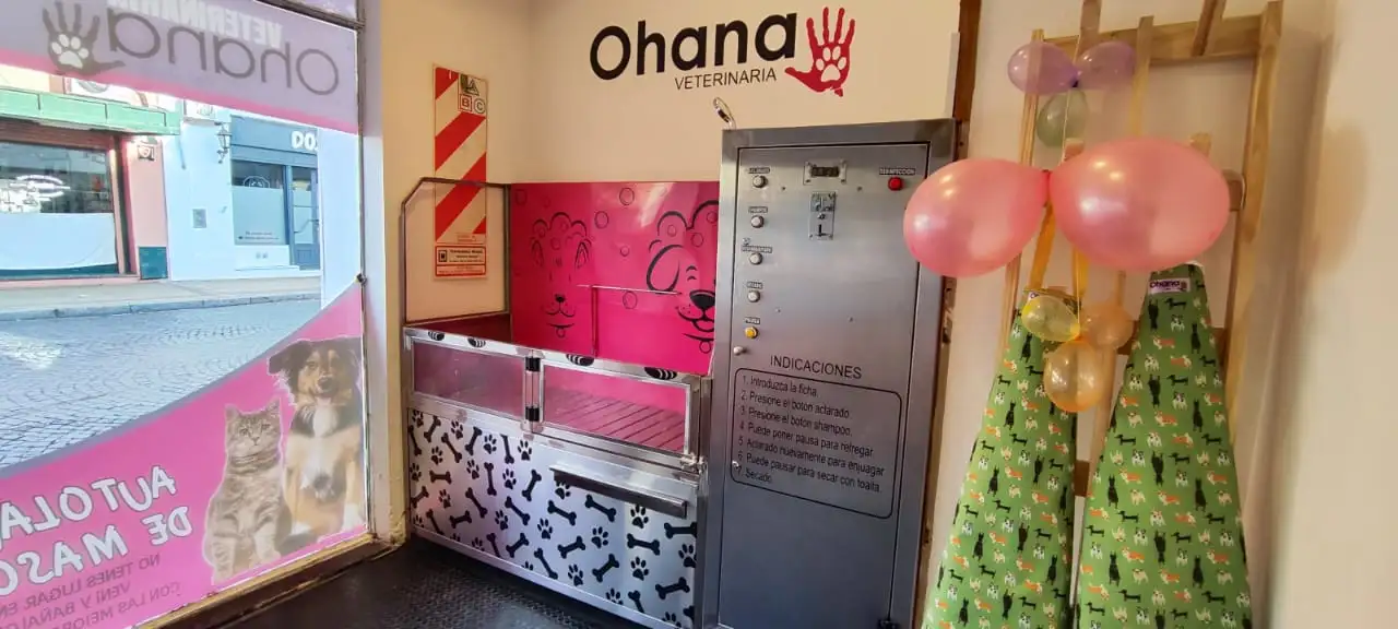 El espacio de autoservice para lavado de mascotas.