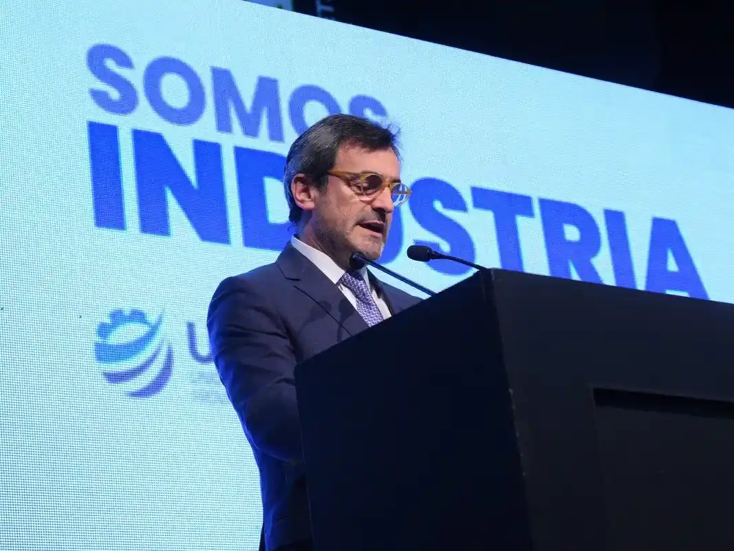 “La presión impositiva continúa en niveles insostenibles”, cuestionó el presidente de la UIA