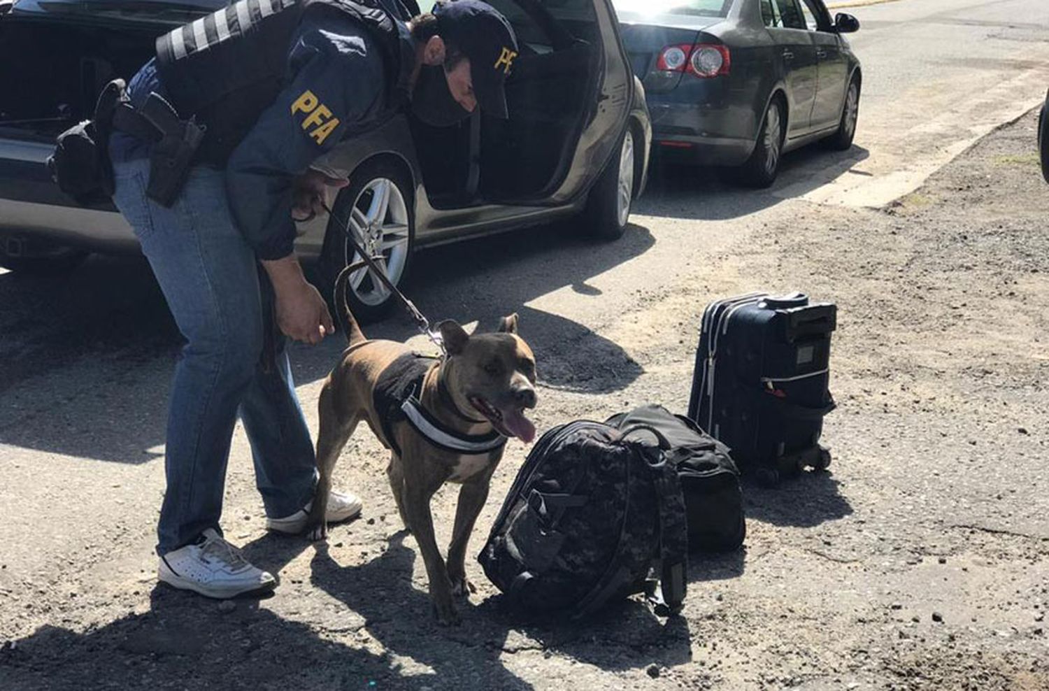 Diversos operativos de la Policía Federal en rutas de acceso a ciudades de la Costa Atlántica