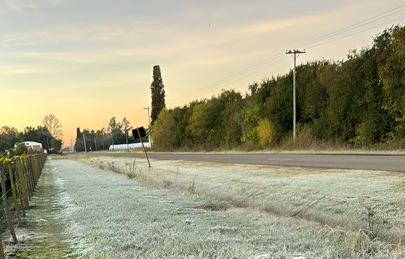 Ola polar: San Pedro bajo cero, pero entre las pocas ciudades que no está en alerta en la provincia