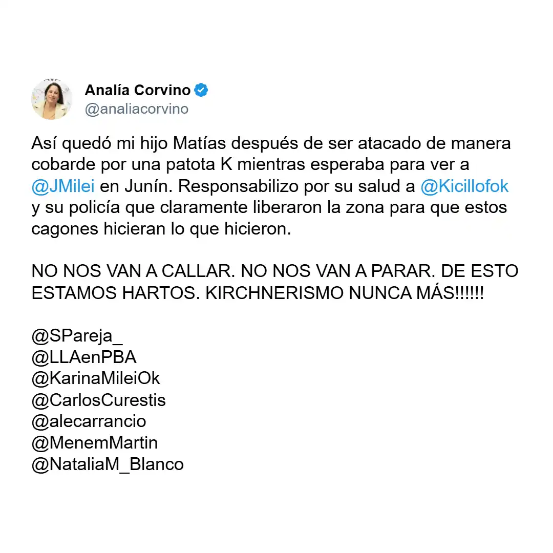 analía corvino