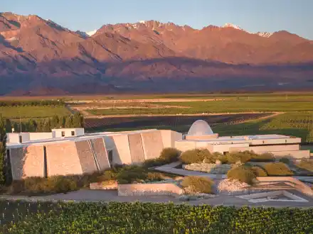 Cultivando vinos de montaña.