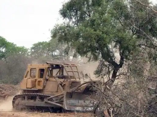 Paoltroni y Basualdo investigados por desmontes
y compras irregulares de tierras fiscales