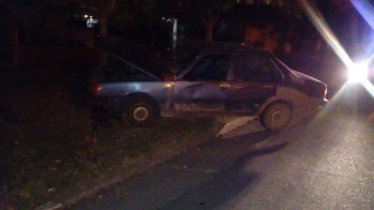 Chocó contra un árbol al perder el control del auto en el que se conducía