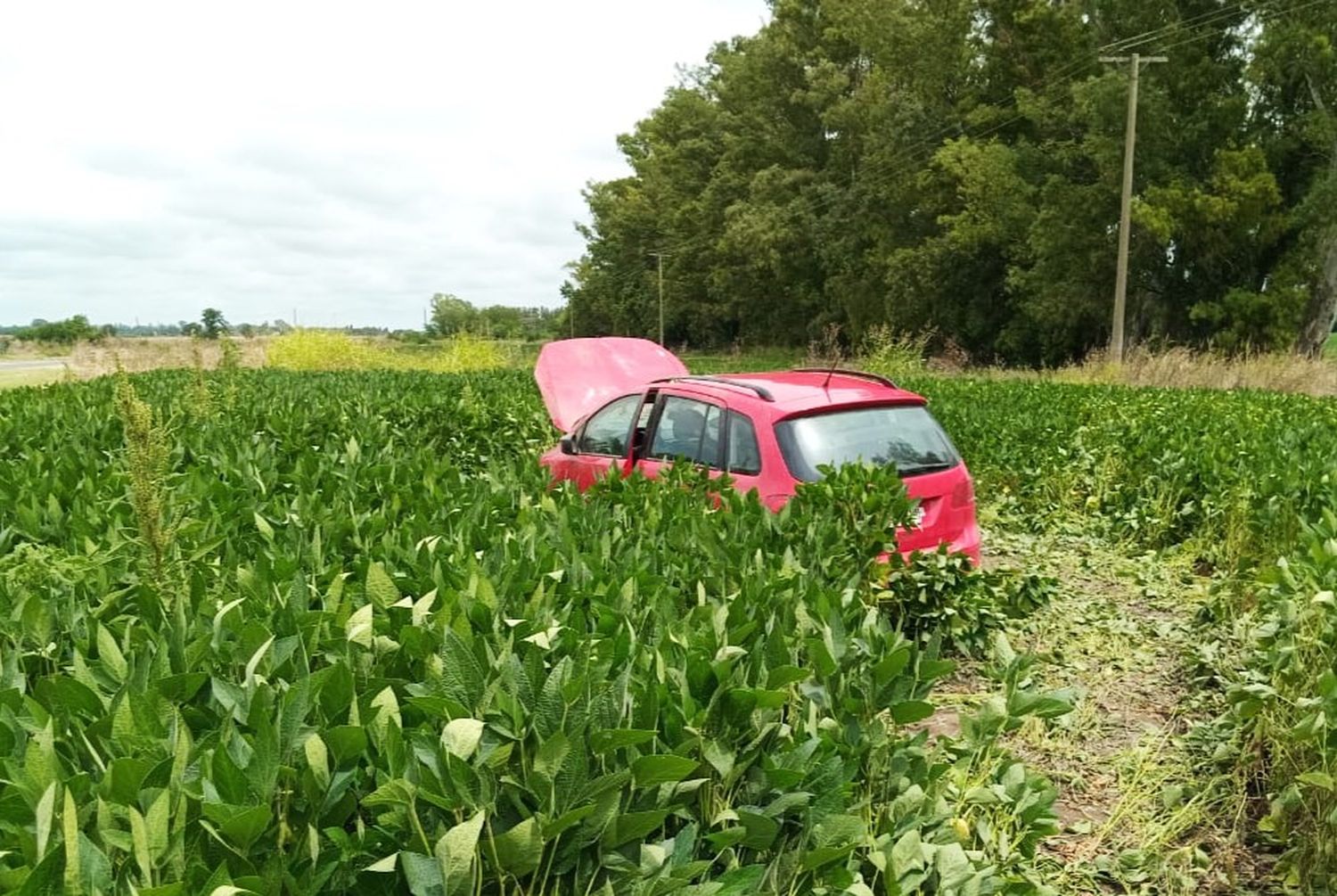 Volcó un auto en ruta 191, antes de llegar a Pueblo Doyle