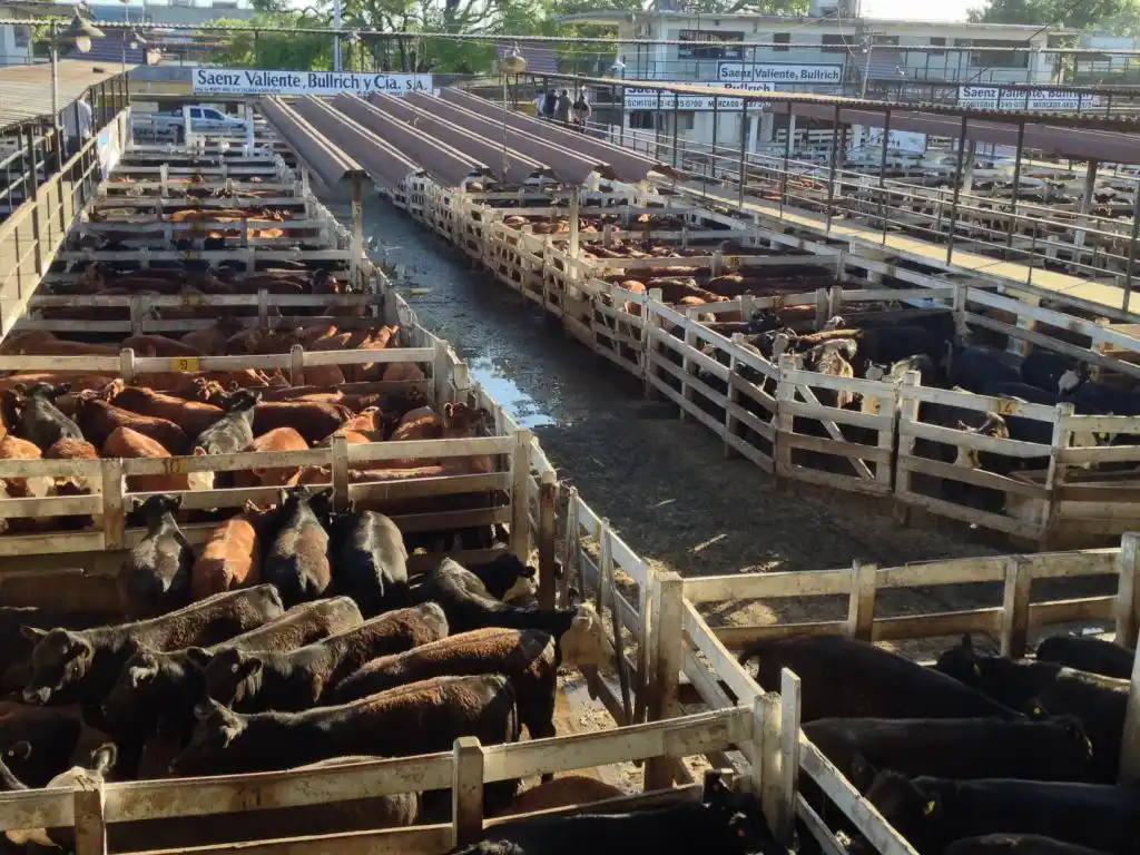 Carne : los precios suben en Liniers