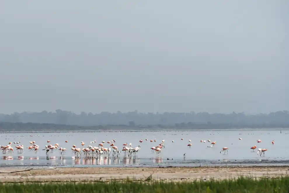 La laguna de Mar Chiquita.