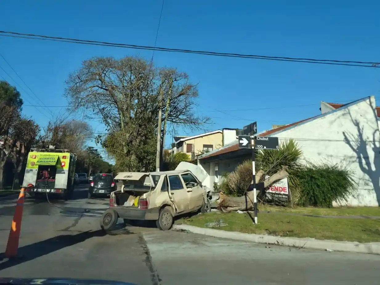 Tras la colisión, el Duna subió a la vereda y arrancó un árbol de gran porte.