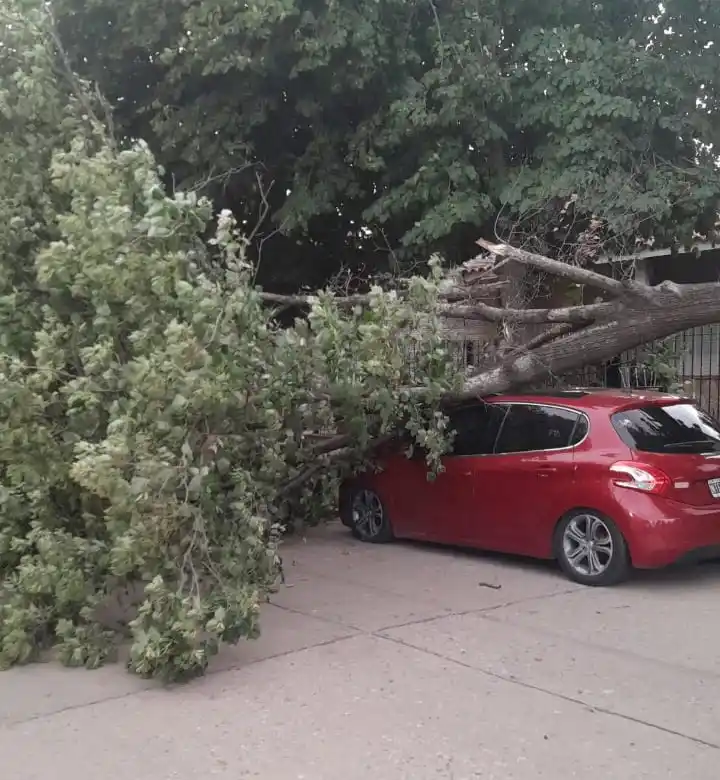 No se registraron personas heridas en el marco de la tormenta.